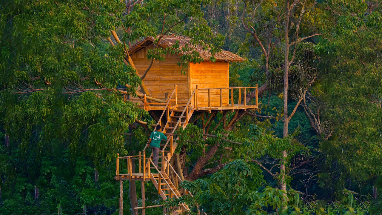 ক্লাউড নেস্ট স্টেশন